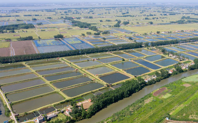 政策扶持下水產養殖領域迅速發展
